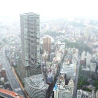 天空の庭　星のなる木 - 