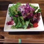 カフェ ラン イントゥ - サラダ