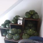 ズッカ ファイン ベジタブル アンド デリ - 内観