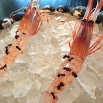 noma - シマエビと長野の森の風味