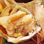 季節料理車屋 - 鮮度抜群の貝は歯ごたえも良く最高！
      