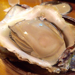 ながい - H27.06.27 的矢かき