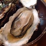 ながい - H26.03.01 「的矢カキ」