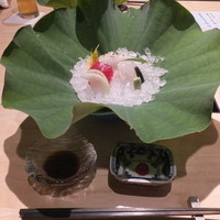 瓢斗 四条烏丸店 - お造り：こち、本鮪（まぐろ）、鱧（はも）の炙り