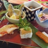 天空の庭　星のなる木 - 