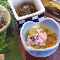 天空の庭　星のなる木 - 