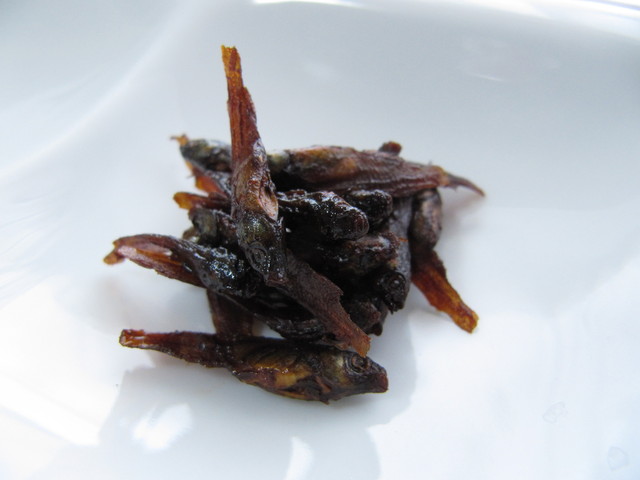 新潟の食文化 ウルメの田舎煮 イワシではなくメダカです By ハスタ 水富屋酒店 見附 バー お酒 その他 食べログ 新潟の食文化 ウルメの田舎煮 イワシではなくメダカです By ハスタ 水富屋酒店 見附 バー お酒 その他 食べログ