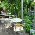 NISHIann cafe - 岡本町・西庵の紫陽花