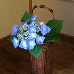 比良山荘 - 紫陽花が飾られています。