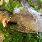 比良山荘 - 鮎の洗い