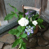 比良山荘 - では店内へ。