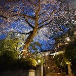 ラ・ビュット・ボワゼ - 