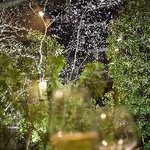 ラ・ビュット・ボワゼ - 