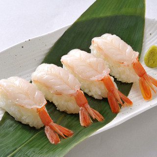 ブルスタ・オラムー_2