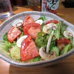 つくし - 野菜サラダ_2015/06