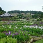 峠の茶屋 一軒家 - 永沢寺の菖蒲園(300万株入場料800円)