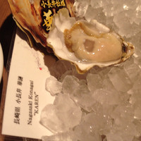 BELON 渋谷店 - 