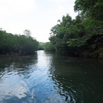 ふなうき荘 - マングローブの川をさかのぼり