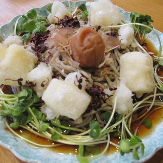 ペット可 おすすめのうどんをご紹介 食べログ