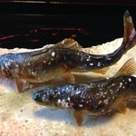 比良山荘 - 見事な焼き加減で、まるで泳いでいるかのようなフォルム