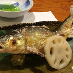 ふじ木 - 本日も養殖でしたが、とても美味しかったです！