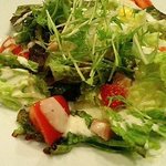 Nampuu - 水菜のしゃっきりサラダ