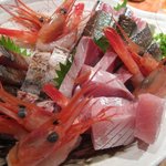活力魚金 - 