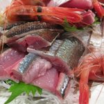 活力魚金 - 