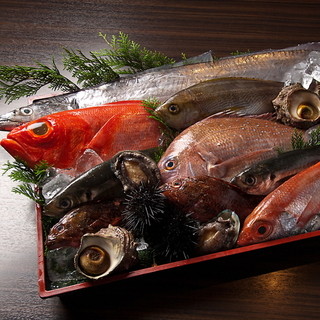 季節の産直鮮魚