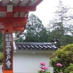 花の茶屋 - 三室戸寺・山門