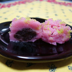 嘯月 - 「春の山」　2015年4月