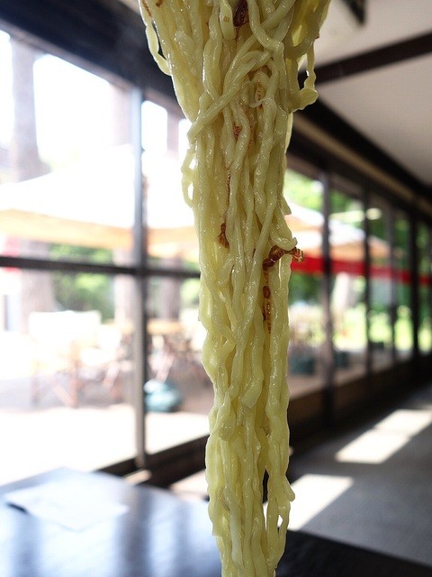 本陣 - 関都（ラーメン）の写真