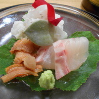 日本料理 太月 - お造り
