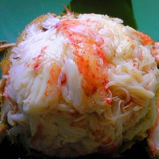 コロポックル_1