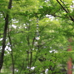 ホテルブレストンコート ザ・ラウンジ - 