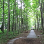 ホテルブレストンコート ザ・ラウンジ - 