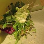 テーラ・テール - サンドイッチプレート H27.6月