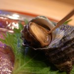 すし処 海 - 
