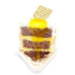 プティ・グラン - ラルムの断面 '15 6月上旬