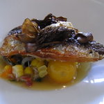 Wattle Tokyo - メイン（あじ）