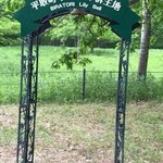 ゆから - 2015年06月03日（水）　芽生すずらん群生地