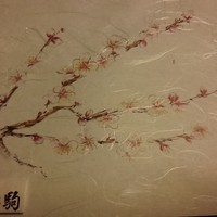 鮨 割烹 駒 - 季節毎に素敵