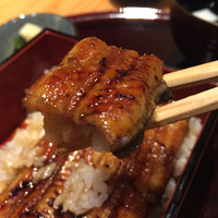 鰻割烹まえはら - 特上鰻重
                「2015.07撮影」