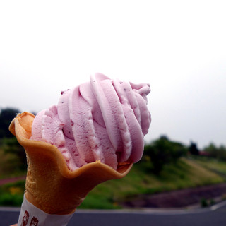道の駅かよう_1