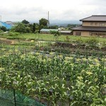 にこみやさい - 野菜は有機野菜で目の前が畑（＠＠；