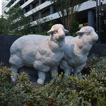 キャトルラパン - ビルの敷地・北東エリアには羊が2頭いるのだ、、エサは食べない。