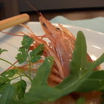 キャトルラパン - 赤エビのマリネはﾊﾞｼﾞﾙｿｰｽでいただく。。