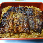 いな妻 - 2015.07　大きなウナギが2切れ