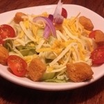 アウトバックステーキハウス - セットのサラダ