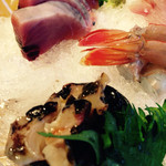 かく田 - サザエ、カツオ